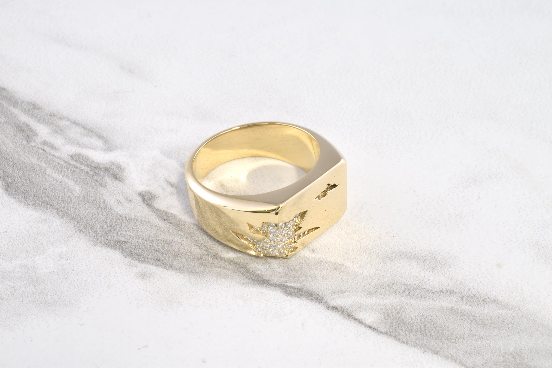 Corroded Signet Ring – AlxndrJewelry